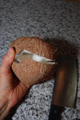 open coconut