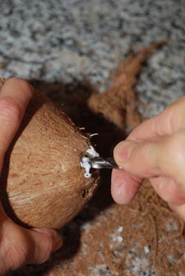 maturecoconut