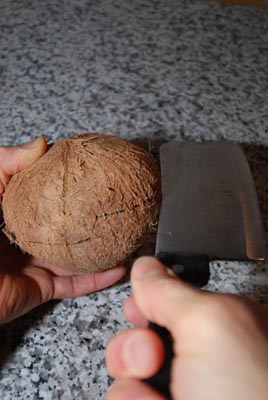 opencoconut