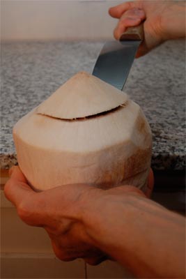 imature coconuts