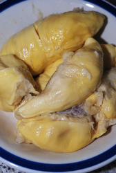 durian fruit